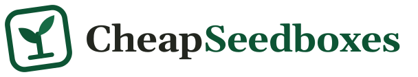 Cheap Seedboxes