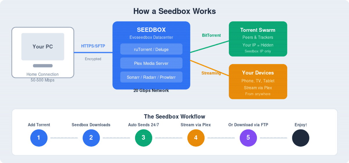 Best Seedbox 2026: Top 10 Providers Reviewed & Compared 1 How a seedbox works - network diagram showing download, seeding, and Plex streaming workflow